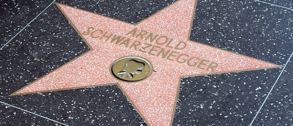 Schwarzenegger - Hollywood - Pixabay