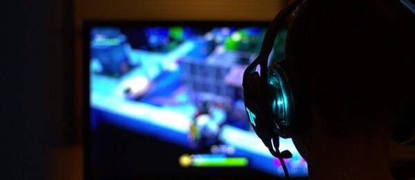 Fortnite - gamer - Pixabay