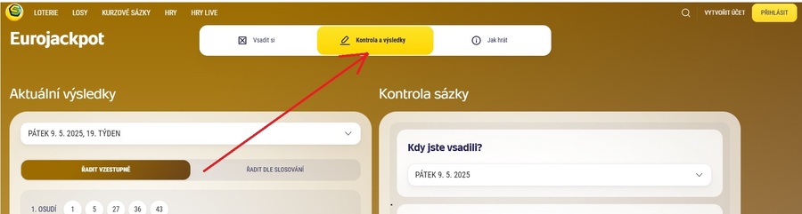 Kontrola tiketu