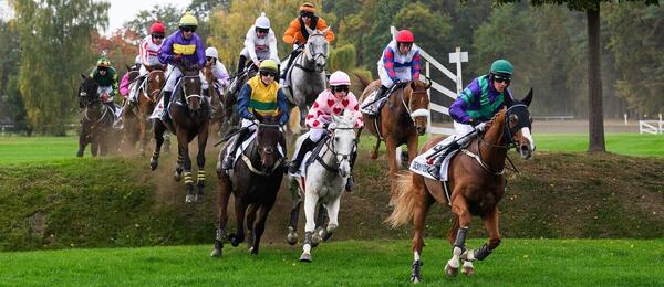 Závěrečný dostihový den Pardubice nabídne 1. listopadu 2025 celkem 7 dostihů rovinových i překážkových. 