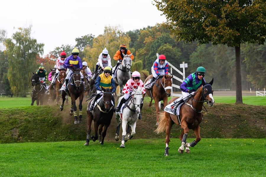 Závěrečný dostihový den Pardubice nabídne 1. listopadu 2025 celkem 7 dostihů rovinových i překážkových.